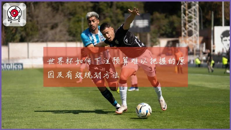 世界杯如何下注预算难以把握的原因及有效规划方法