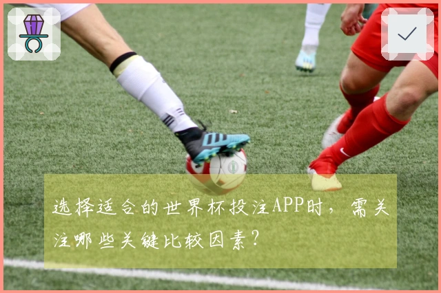 选择适合的世界杯投注APP时，需关注哪些关键比较因素？