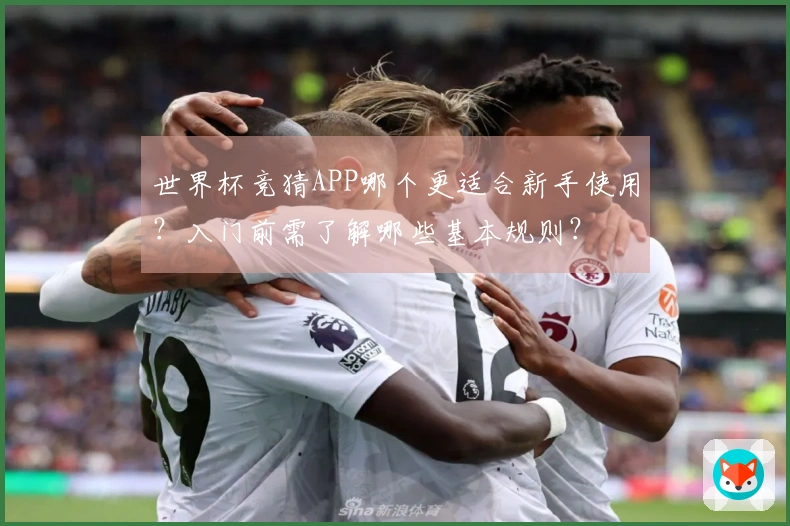 世界杯竞猜APP哪个更适合新手使用？入门前需了解哪些基本规则？