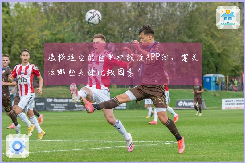 选择适合的世界杯投注APP时，需关注哪些关键比较因素？