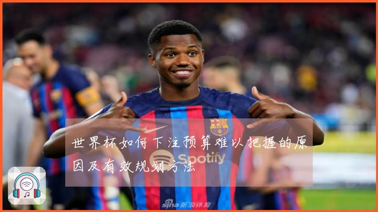 世界杯如何下注预算难以把握的原因及有效规划方法