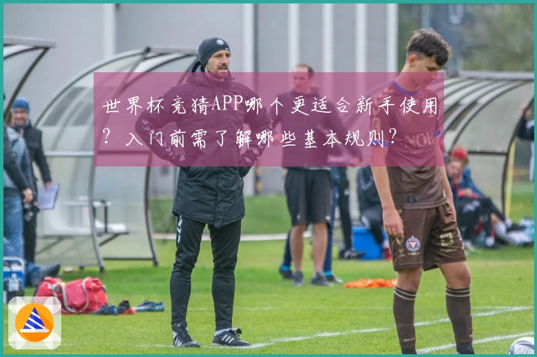 世界杯竞猜APP哪个更适合新手使用？入门前需了解哪些基本规则？
